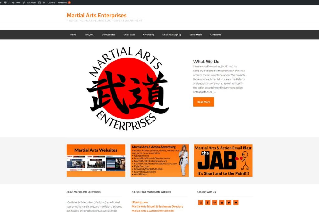 Martial Arts Enterprises