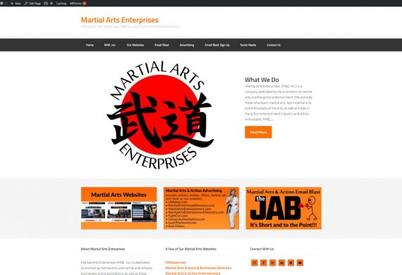 Martial Arts Enterprises